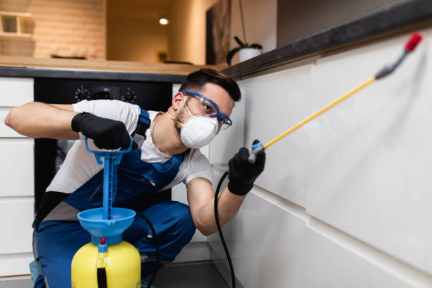 Best Best Pest Control Companies  in Woodbury, NJ