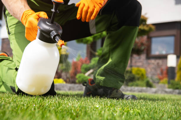 Best Mosquito Control Services  in Woodbury, NJ