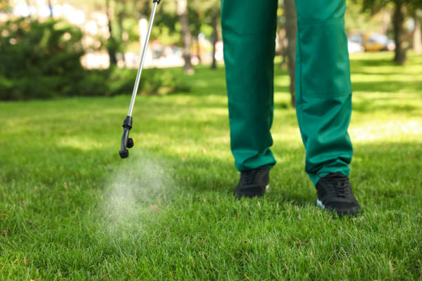 Best Affordable Pest Control Services  in Woodbury, NJ