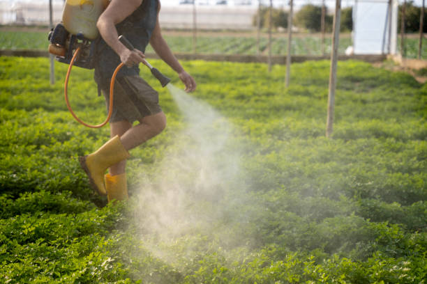 Best Ant Control Services  in Woodbury, NJ