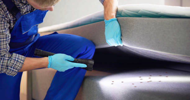 Best Pest Control Near Me  in Woodbury, NJ