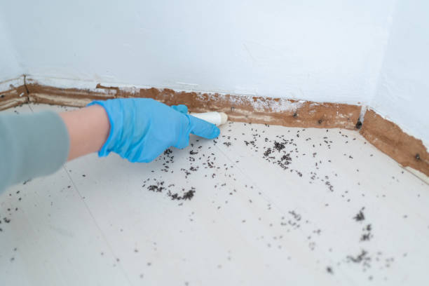 Best Pest Prevention Services  in Woodbury, NJ