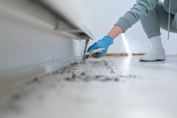 Best Pest Removal Services  in Woodbury, NJ