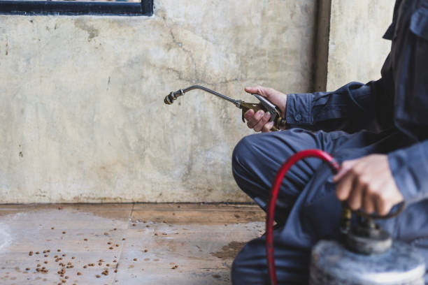 Best Affordable Pest Control Services  in Woodbury, NJ